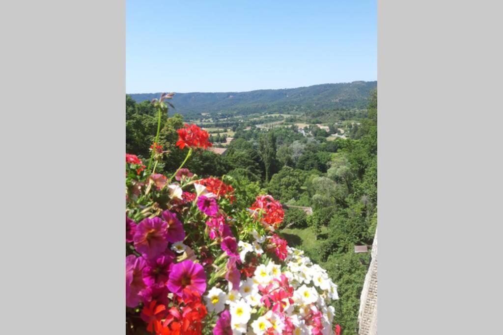 Lou Paradiú Du Verdon Appartement